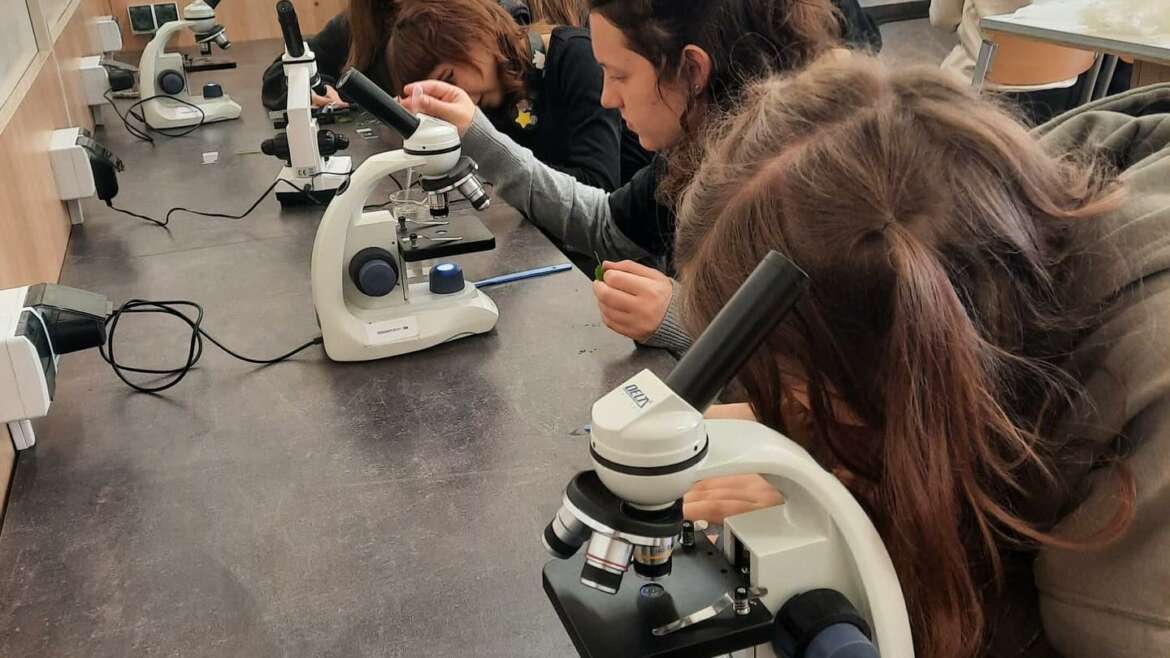 2a na zajęciach laboratoryjnych doskonaliła umiejętność mikroskopowania