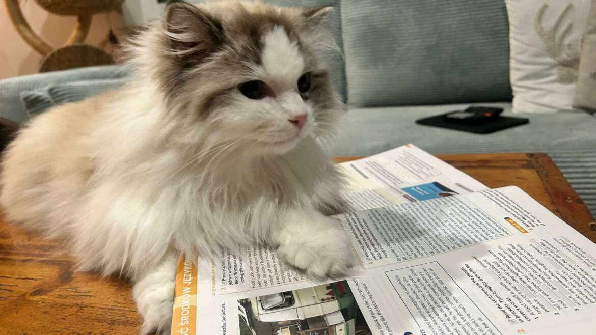 Nasze futrzaste pomoce naukowe